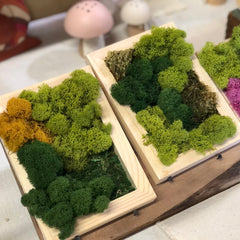 Modern Moss Art - Rectangle