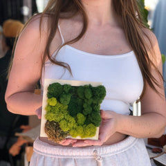 Modern Moss Art - Square