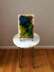 Modern Moss Art - Rectangle