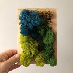 Modern Moss Art - Rectangle