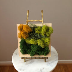Modern Moss Art - Square