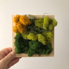 Modern Moss Art - Square