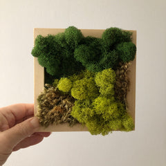 Modern Moss Art - Square