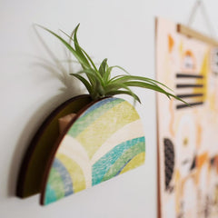 Abstract Dome Wall Vase Planter