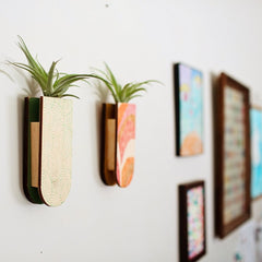 Mod Curves Skinny Pocket Wall Planter Vase