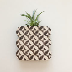 Scallop Petals Wall + Tabletop Vase Planter