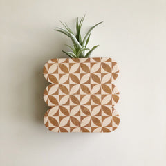 Framed Scallop Petals Wall Vase